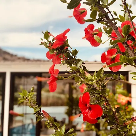Arp Hotel Dalyan