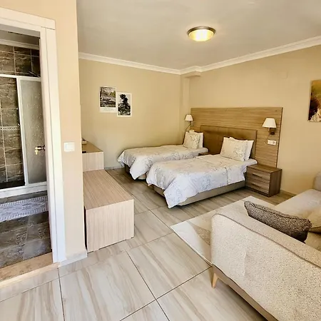 Hotel Arp