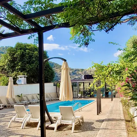 Arp Hotel