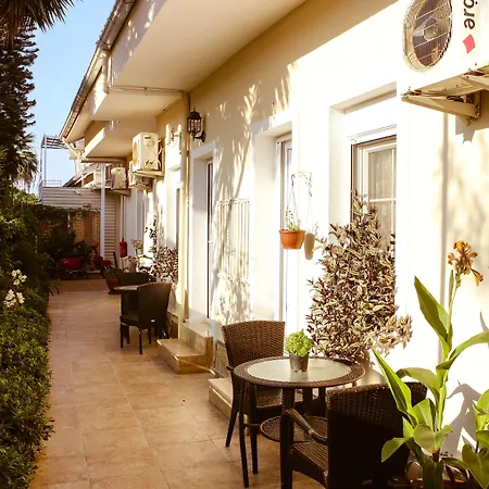 Hotel Arp 2*