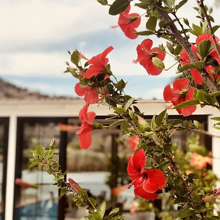 Arp Ξενοδοχείο